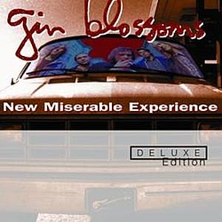 Gin Blossoms - New Miserable Experience альбом