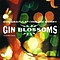Gin Blossoms - Congratulations Im Sorry album