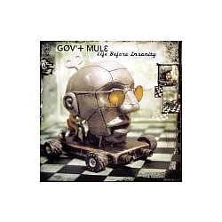 Gov&#039;t Mule - Life Before Insanity album