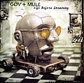 Gov&#039;t Mule - Life Before Insanity album
