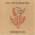 Graham Coxon - Crow Sit On Blood Tree album