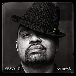 Heavy D - Vibes album