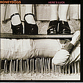 Honeydogs - Here&#039;s Luck album