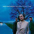 Hooverphonic - The Magnificent Tree album