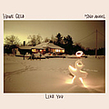 Howe Gelb - &#039;Sno Angel Like You album