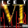 Ice-T - Vi - Return Of The Real альбом