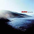 Incubus - Morning View album