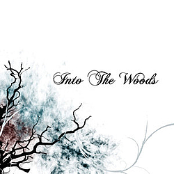 Into The Woods - Into The Woods альбом