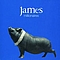 James - Millionaires альбом