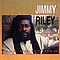 Jimmy Riley - Love And Devotion album