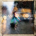 Joan Osborne - Little Wild One album