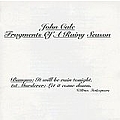 John Cale - Fragments Of A Rainy Season альбом