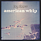 Joy Zipper - American Whip album