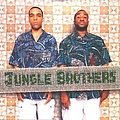 Jungle Brothers - V.I.P альбом