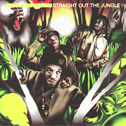 Jungle Brothers - Straight Out The Jungle album