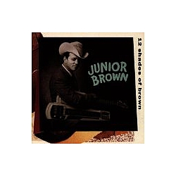 Junior Brown - 12 Shades of Brown album