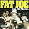 Fat Joe Feat. Terror Squad - Don Cartagena album
