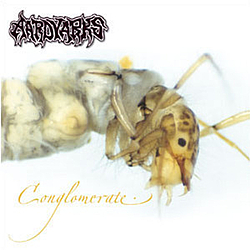 Aardvarks - Conglomerate альбом