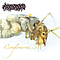 Aardvarks - Conglomerate album