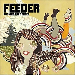 Feeder - Pushing The Senses album