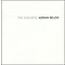 Adrian Belew - The Acoustic Adrian Belew album