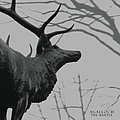 Agalloch - The Mantle альбом