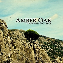Amber Oak - Amber Oak/Your missing piece album