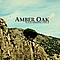 Amber Oak - Amber Oak/Your missing piece album
