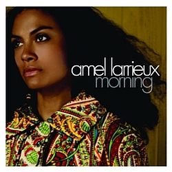 Amel Larrieux - Morning album