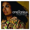 Amel Larrieux - Morning album