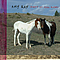 Amy Ray - Didn&#039;t It Feel Kinder album