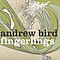 Andrew Bird - Fingerlings album