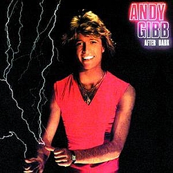 Andy Gibb - After Dark album