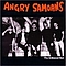 Angry Samoans - The Unboxed Set album