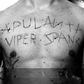 Apulanta - Viper Spank album
