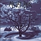 Argyle Park - Misguided album