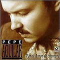 Pepe Aguilar - Por el Amor de Siempre album