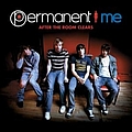 Permanent Me - After The Room Clears альбом
