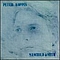 Peter Koppes - Manchild &amp; Myth album