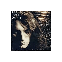 Peter Koppes - From The Well album