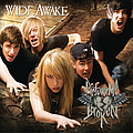 Picture Me Broken - Wide Awake album