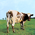 Pink Floyd - Atom Heart Mother (Domestic Only) album