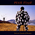Pink Floyd - Delicate Sound of Thunder (disc 1) альбом