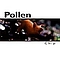 Pollen - Chip album