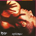 Raf - Cannibali альбом