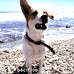 Pacifico - Pacifico альбом
