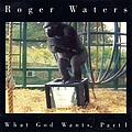 Roger Waters - What God Wants, Part 1 album