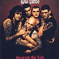 Rose Tattoo - Scarred for Life альбом