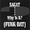 Sagat - Why is it? Funk dat album