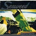 Seaweed - Spanaway альбом